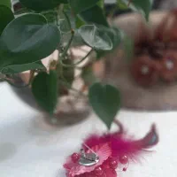 گل سینه عمده سنجاق دار ۶۰۰عدد|زیورآلات و اکسسوری|پرند, فاز ۲|دیوار