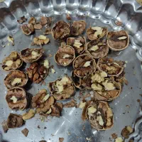 گردو پرچربی امسال خشک  سفید و قهوه ای روشن