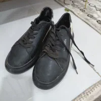 کفش نو|کیف، کفش، کمربند|تربت جام, میان جام|دیوار