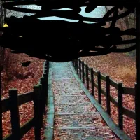 گوشی ال جی stylus 2|موبایل|مشهد, هنرور|دیوار