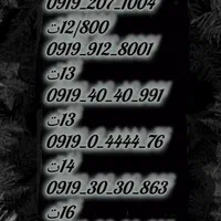 0919-110-40-30|سیم‌کارت|قم, شاه ابراهیم|دیوار