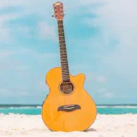 آموزش گیتار در منزل