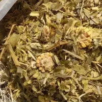 ذرت علوفه درجه یک40درصد دانه