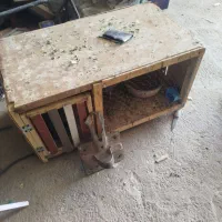 جفت کن کفتر