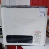 بخاری ژاپنی 2013