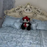 سرویس خواب