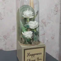 گل مصنوعی|گل مصنوعی|رباط‌کریم, نصیرشهر|دیوار