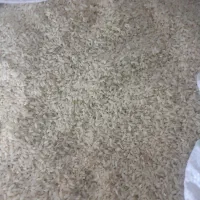 برنج چمپا|خوردنی و آشامیدنی|باغ ملک, |دیوار