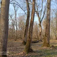 تور تفریحی رایگان|تور و چارتر|بابلسر, |دیوار