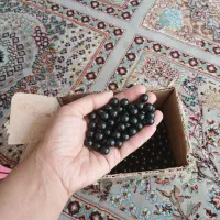 مروارید سایز ۱۰