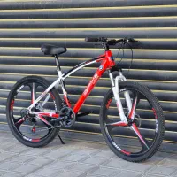 دوچرخه بی ام دبلیو 24.26امیراقساط