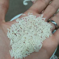 برنج هاشمی خالص|خوردنی و آشامیدنی|صومعه‌سرا, |دیوار