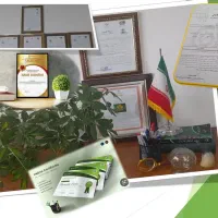 آموزش و اعطای مدرک رسمی طب سنتی و گیاهان داروئی