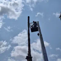 قطع درخت|خدمات باغبانی و درختکاری|گنبد کاووس, |دیوار