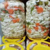 پخش انواع زیتون وترشی خانگی درجه یک|خوردنی و آشامیدنی|تهران, والفجر (افسریه)|دیوار