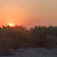باغبانی و نگهبانی