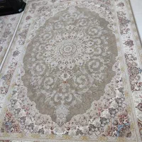 فرش|فرش|رشت, معلولین|دیوار