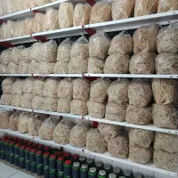 مرکز پخش رشته و شیره انگور|عمدهفروشی|میاندوآب, |دیوار