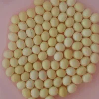 خاویار حلزون جهت تراپی