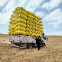 از ۲تا ۵تن|عمدهفروشی|هشترود, |دیوار