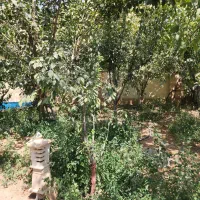 ۵۰۰ متر باغ با ۴۰ متر بنا کردان کوهسار