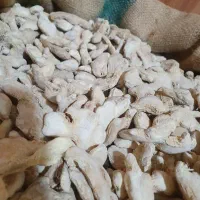 پخش عمده پودر هل و پودر جوز هندی و ادویه جات وغیره|خوردنی و آشامیدنی|باغستان, |دیوار