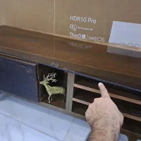میز تلویزیون متحرک با ویترین درجه۱