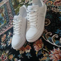 کفش ونس سفید زئوس|کیف، کفش، کمربند|شال, |دیوار