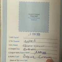 سگ چاو چاو|سگ|اسلام‌شهر, شهرک قائمیه|دیوار