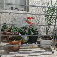 باربند پیکان