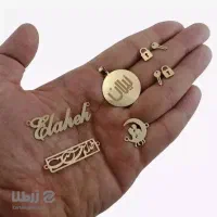 پلاک و زنجیر گم شده