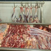 گوشت تازه شترمرغ