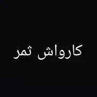 نیرو برای کارواش