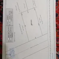 فروش زمین|فروش زمین و ملک کلنگی|تالش, هشتپر|دیوار