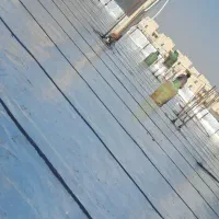 ایزوگام قیرگونی اسفالت|خدمات پیشه و مهارت|خورموج, |دیوار