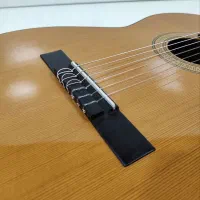 گیتار آریا SP2|گیتار، بیس، امپلیفایر|تهران, استقلال|دیوار