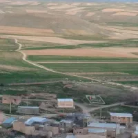 اجاره زمین کشاورزی برای نخود