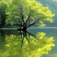 ۸۰ متری شهرک پیام