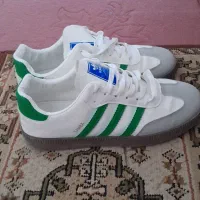 کفش|کیف، کفش، کمربند|شیروان (خراسان), |دیوار