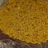 فروش بذریونجه اصل همدان|عمدهفروشی|قشلاق دشت, |دیوار