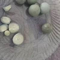 سنگ|کلکسیون اشیاء عتیقه|رباط‌کریم, نصیرشهر|دیوار