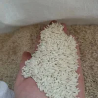 برنج اعلا دورود درجه یک ضمانتی