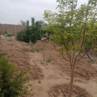 خانه-ویلای