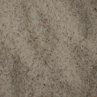 برنج‌فجر سوزنی خوش پخت خوش مزه