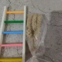 وسایل پرنده کاملا سالم|لوازم جانبی حیوانات|بوکان, |دیوار