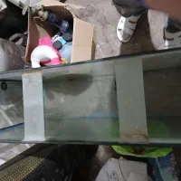 شیشه آکواریوم|ماهی|الوند, |دیوار