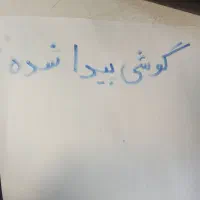 گوشی