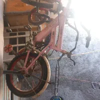 دوعدد دوچرخه