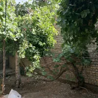 خانه-ویلایی-نوبهار
