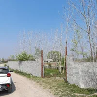 زمین مسکونی/گیلان لولمان